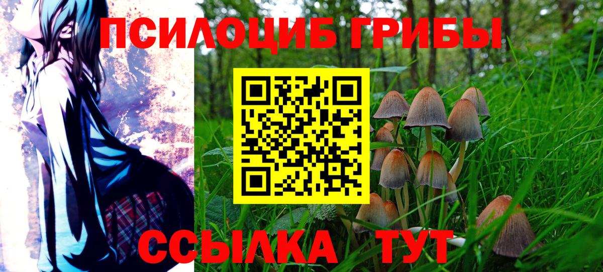 Павлово  Псилоцибиновые грибы Psilocybine cubensis  Псилоцибиновые грибы ЛСД  Вход с VPN 