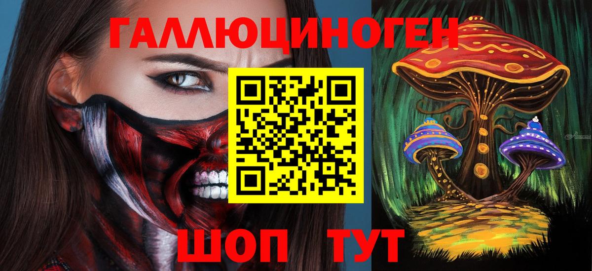 Псилоцибиновые грибы GOLDEN TEACHER Павлово